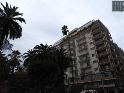 La palma, che proveniva dal cortile di un palazzo in procinto di essere abbattuto, fu ripiantato sulla piazza quasi ad angolo con via Niccol� dell�Arca...